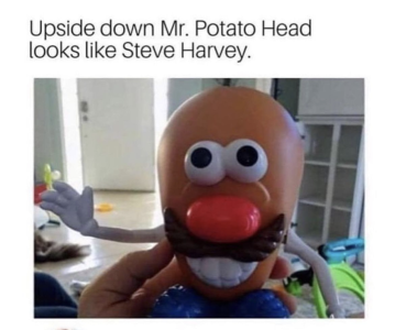 1691286594802.png