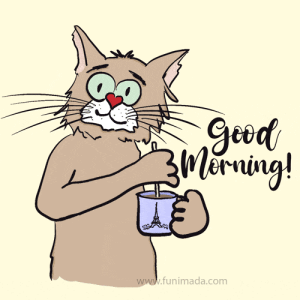 IMG_1726.gif