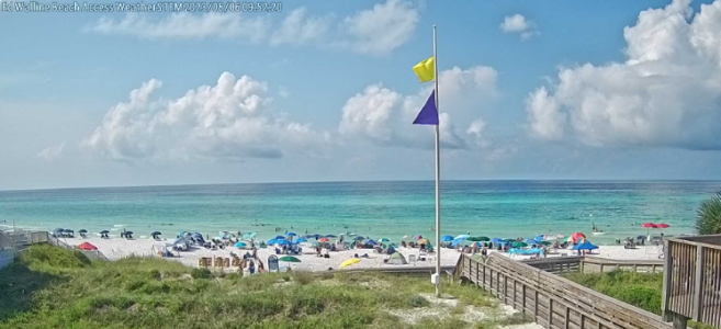 1691333687034.png 1691333687034.png