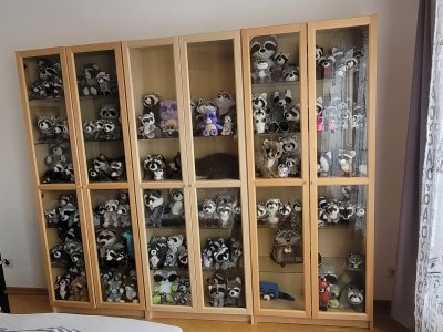 20221120_111138[1].jpg
