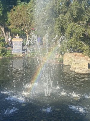 IMG_5758.jpeg