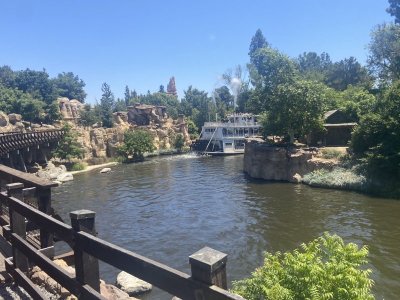 IMG_5786.jpeg