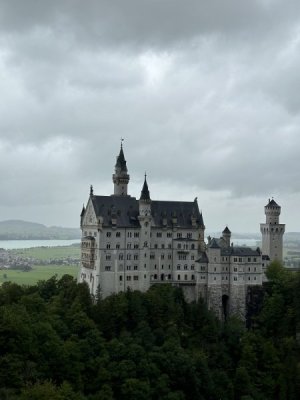 IMG_6039.jpeg