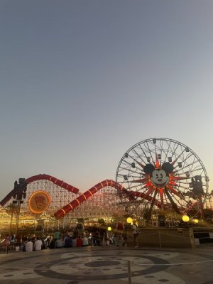 IMG_2078.jpeg