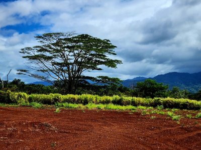 20230623_142431[1].jpg
