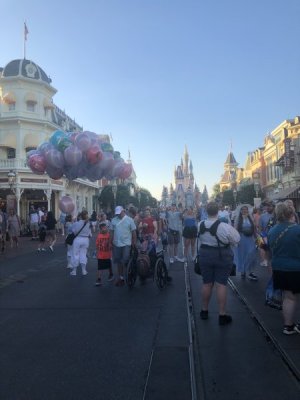 IMG_8722.jpeg