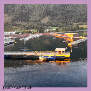 Pier 1.png
