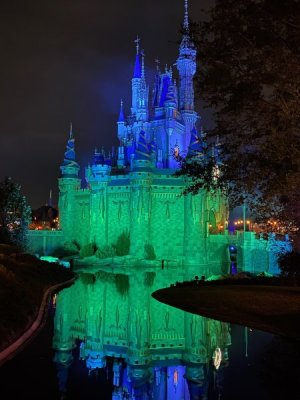 IMG_9020.jpeg