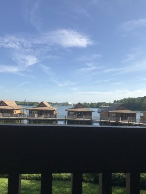 19314924-D86C-4BF4-9E05-2F27849FB4D5.jpeg