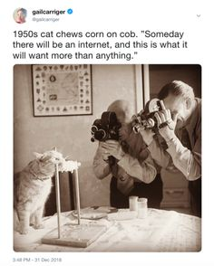 1691604099646.png