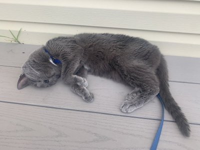 IMG_0697.jpeg