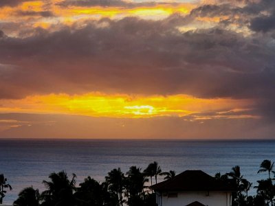 20230624_191314[1].jpg