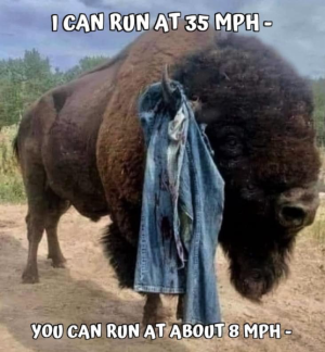 1691776482259.png
