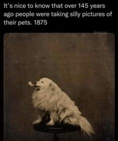 1691777468795.png