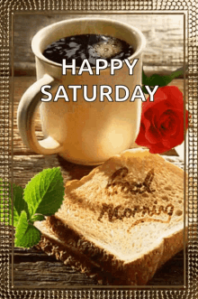 IMG_1756.gif