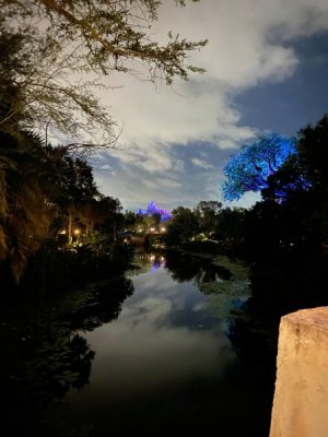 IMG_8892.jpeg