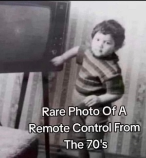 1691894991575.png