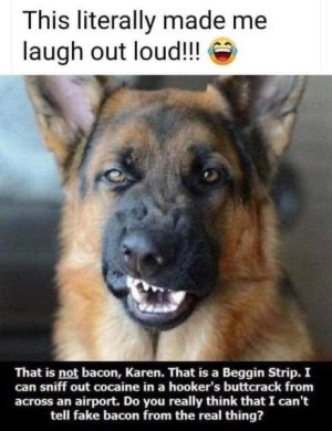 1691899277744.jpeg