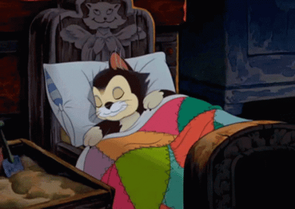 1692066550585.gif
