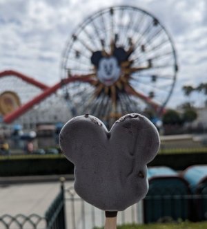 EEAB3419-30DA-438D-8155-13B5E09C4F0B.jpeg
