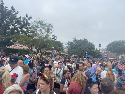 IMG_5854.jpeg