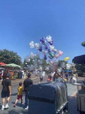 IMG_5886.jpeg