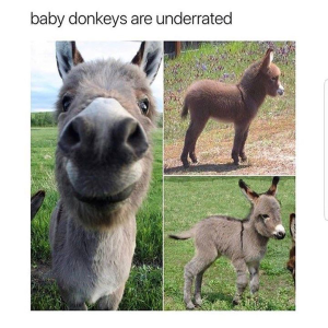 1692247366885.png