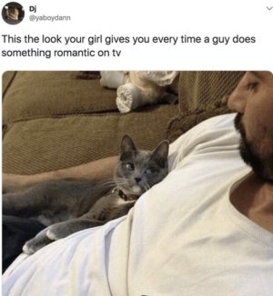 23A859D0-237F-4374-85AF-6372B99EF18A.jpeg