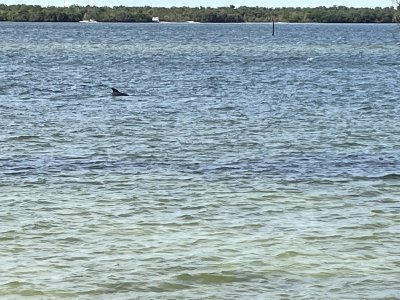 IMG_7720.JPG