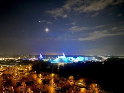 Share WDW1 Night Pic.jpg