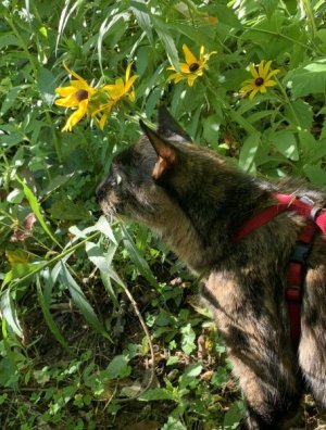 IMG_0866.jpeg