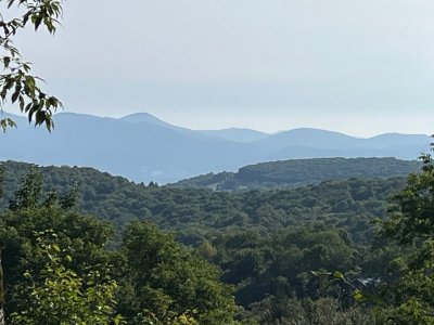 IMG_1298.jpg