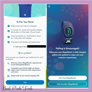 Magicband 1.png