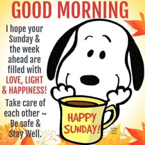 FjICgmdX0AIScnQ.jpg FjICgmdX0AIScnQ.jpg