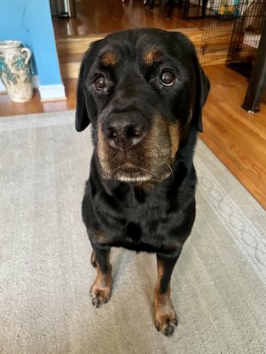 very patient.jpg