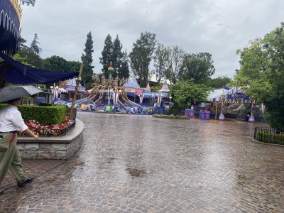 IMG_5968.jpeg