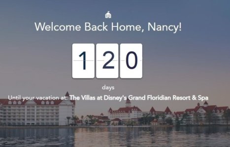 DVC CD 120.jpg