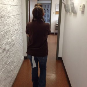 91ec4d38960e11642273a02181e97dc8--toilet-paper-dont-let.jpg