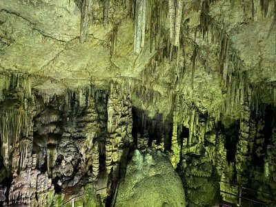 7cave.jpeg