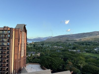 IMG_1114.jpeg