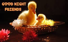Sweet Dreams.jpg