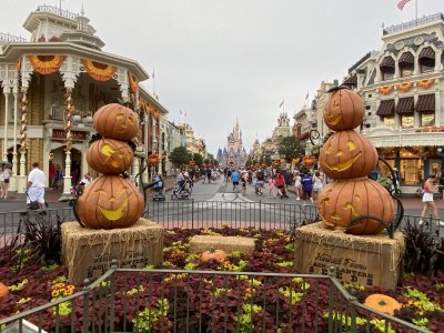 IMG_8095.JPG