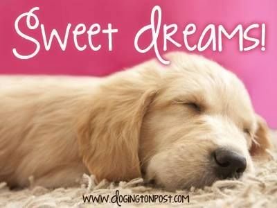 Sweet Dreams 2.jpg