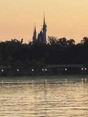 IMG_0608.jpeg