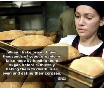 meme baking bread.jpg