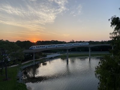 IMG_9608 Medium.jpeg