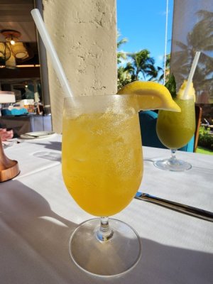 20230626_173625[1].jpg