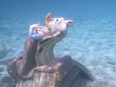 GOPR0088.jpg