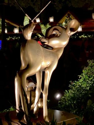 IMG_0204.jpeg