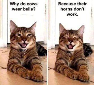 IMG_3552.jpeg